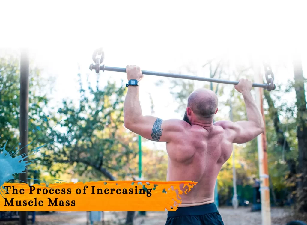 Testosterone Propionate increasing muscles