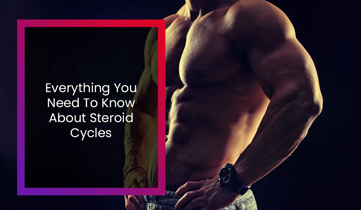 Everything You Need To Know About Steroid Cycles